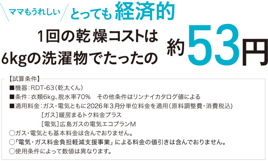 1回の乾燥コストは6kgの洗濯物でたったの約56円